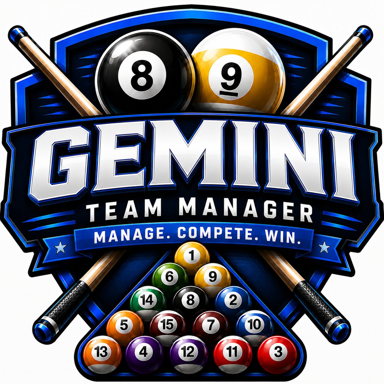 Gemini Team Manager